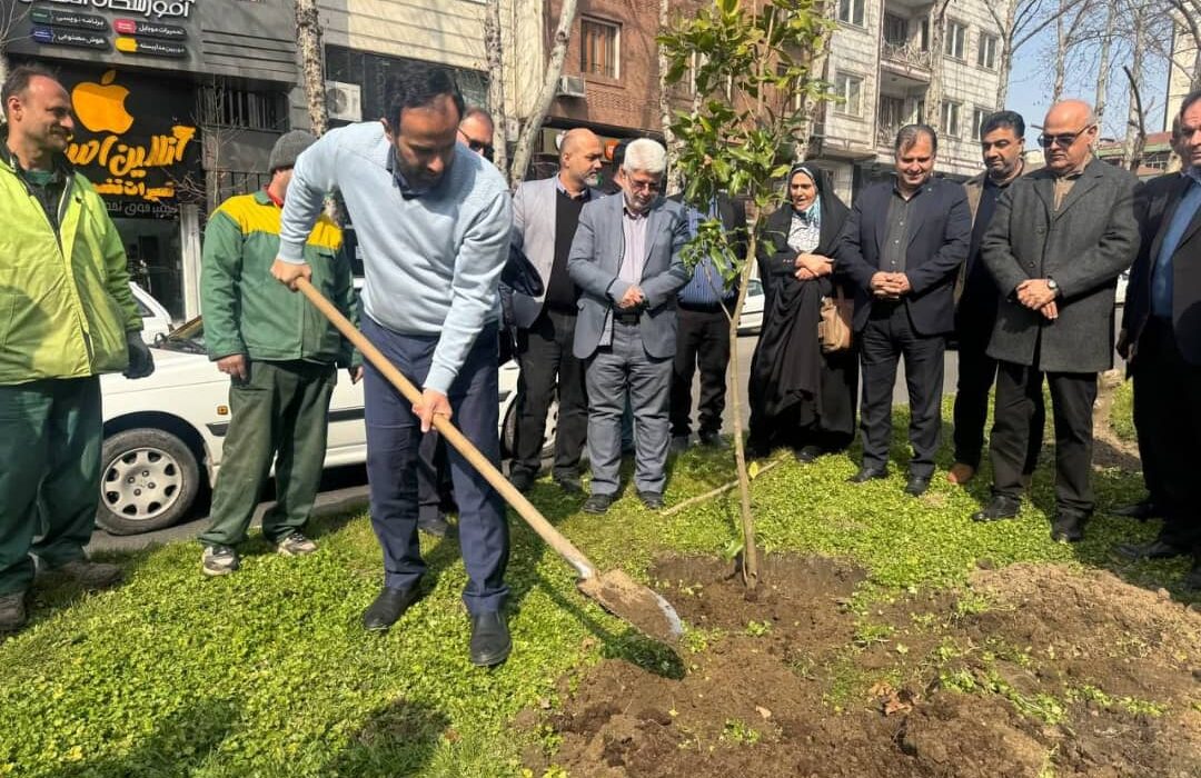 کاشت ۴۱ اصله درخت در بلوار لاکانی رشت به مناسبت روز درختکاری