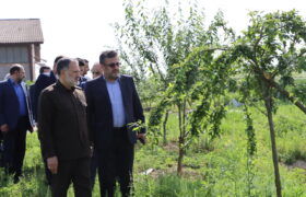 در مناطق مستعد باید پروژه های چند منظوره ایجاد شود