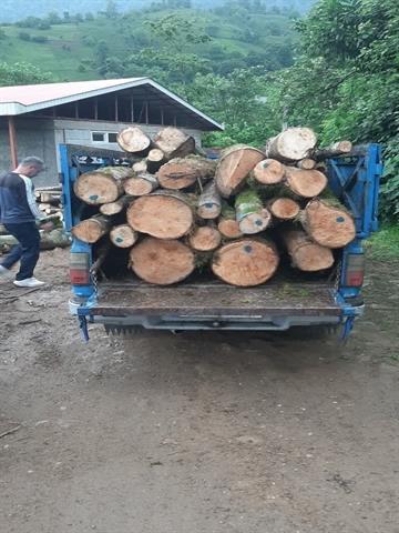کشف چوب قاچاق در رحیم آباد