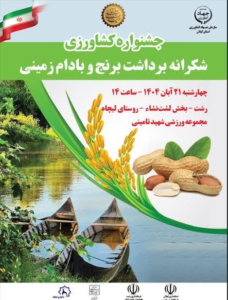 دومین جشنواره بادام زمینی و برنج در لشت‌ نشا برگزار می‌شود