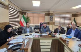 افزایش کارخانجات فرآوری مرکبات در شهرستان رودسر