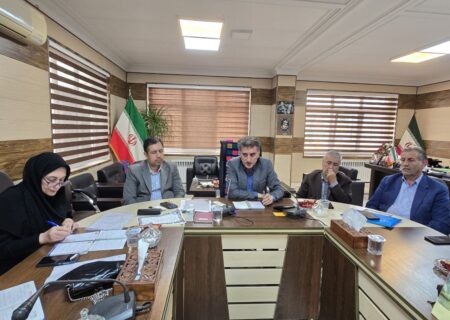 افزایش کارخانجات فرآوری مرکبات در شهرستان رودسر