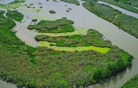 اجرای پروژه حفاظت از تالاب انزلی در فاز کشاورزی پایدار