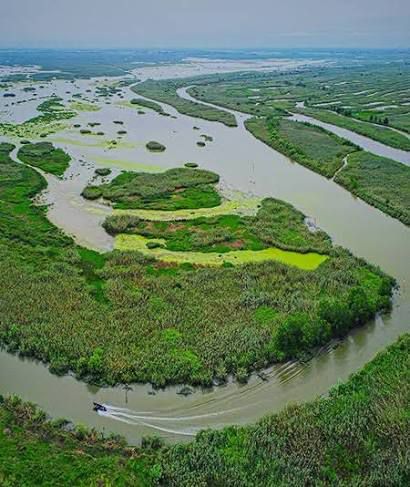 اجرای پروژه حفاظت از تالاب انزلی در فاز کشاورزی پایدار