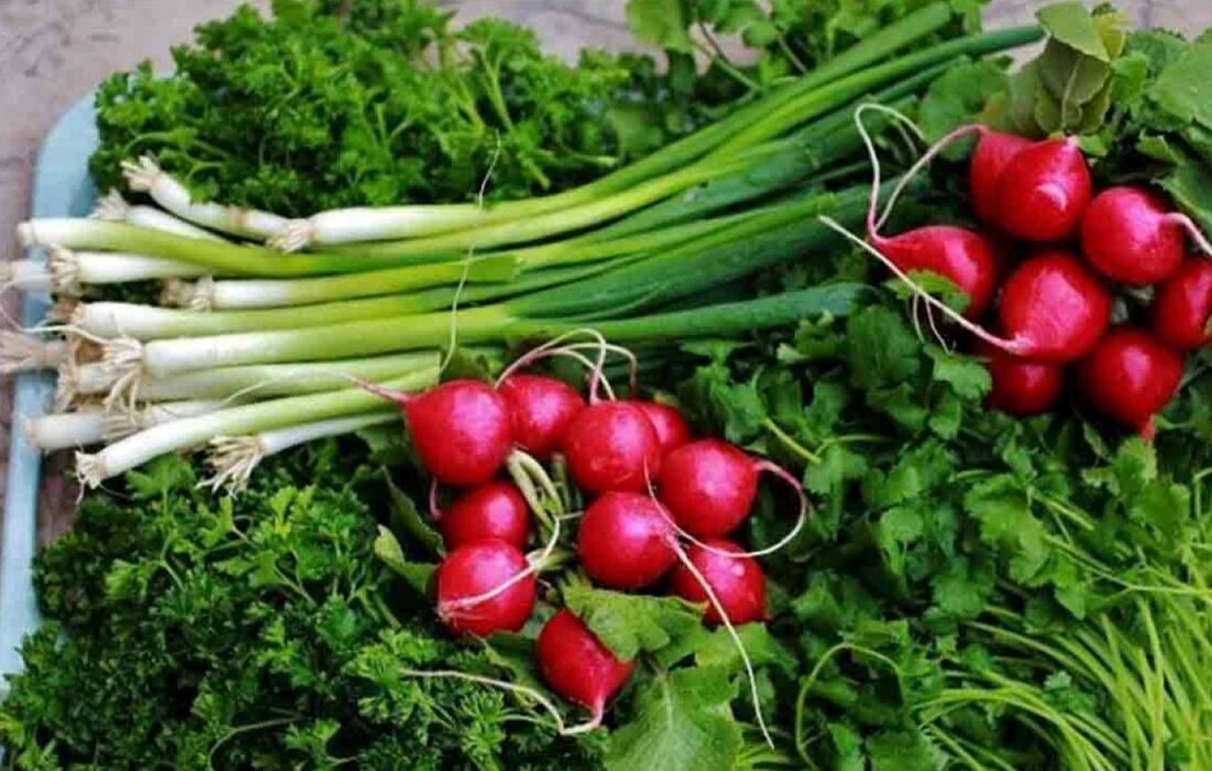 درآمد ۱۶ هزار میلیارد تومانی کشاورزان گیلانی از کشت دوم