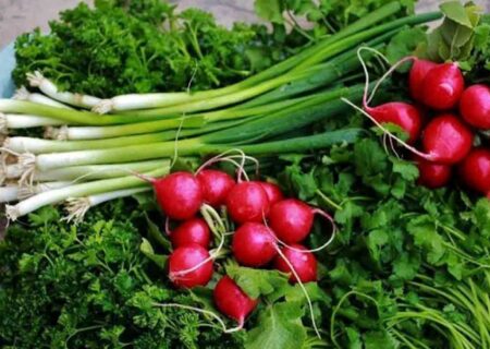 درآمد ۱۶ هزار میلیارد تومانی کشاورزان گیلانی از کشت دوم