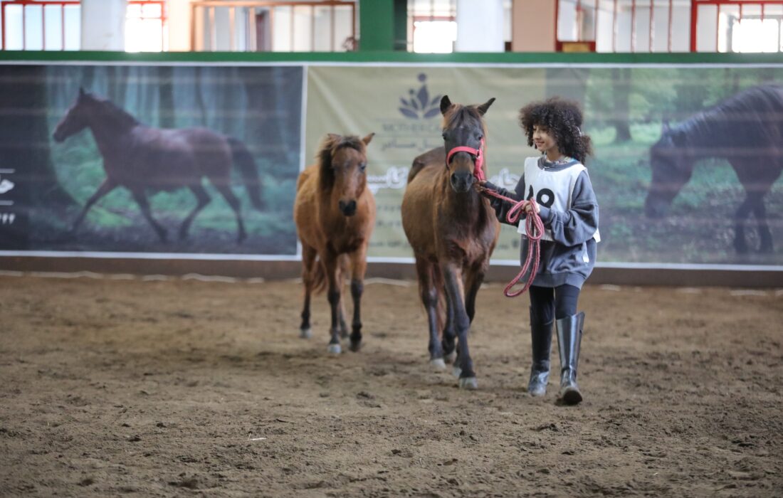بیستمین جشنواره ملی زیبایی اسب کاسپین در منطقه آزاد انزلی برگزار شد