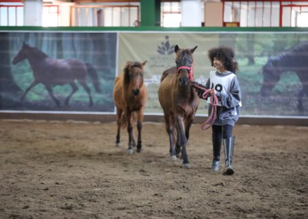 بیستمین جشنواره ملی زیبایی اسب کاسپین در منطقه آزاد انزلی برگزار شد