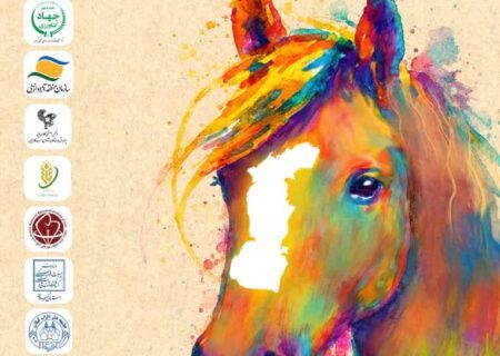 جشنواره ملی زیبایی اسب کاسپین در گیلان برگزار می شود