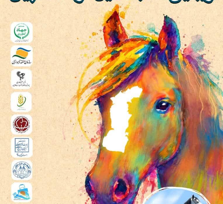 جشنواره ملی زیبایی اسب کاسپین در گیلان برگزار می شود