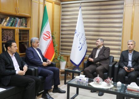 توسعه شبکه برق شهرستان با جدیت ادامه یابد