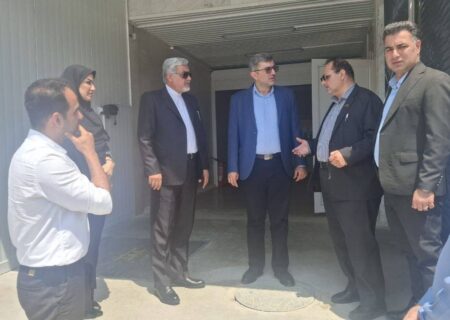 عبور از شرایط کنونی تأمین برق، نیازمند همدلی و همراهی همه بخش‌هاست