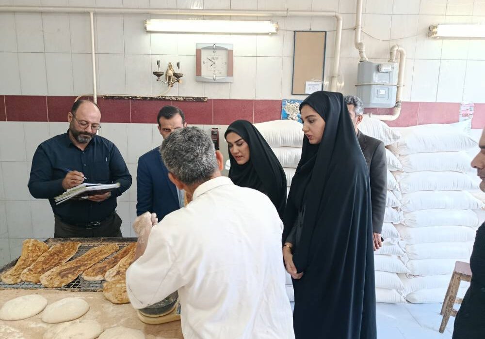 نظارت بر نانواییها به بخشهای مختلف شهرستان رشت رسید/یک واحد متخلف در شهر خشکبیجار پلمب شد